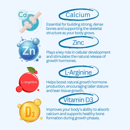 Heightener Gummies + Remineralizing Gum
